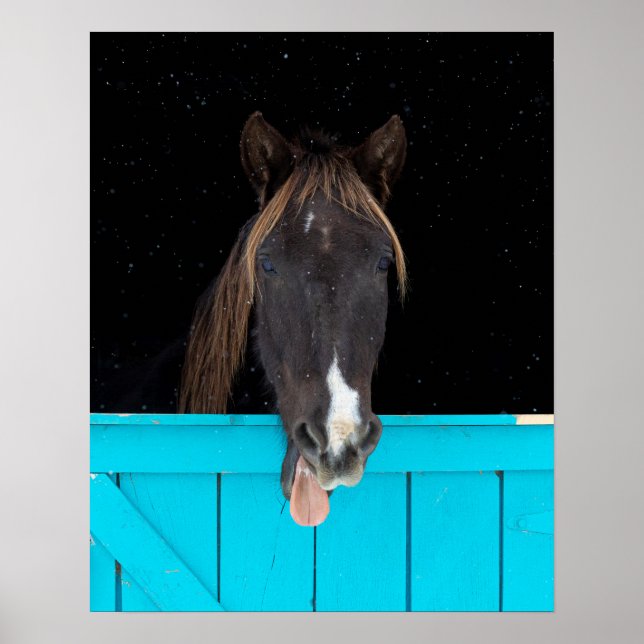 Póster Amanecer de la Montaña Rocosa (Frente)