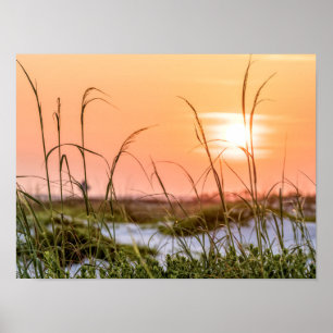 Póster Amanecer de Oats del Mar de Florida