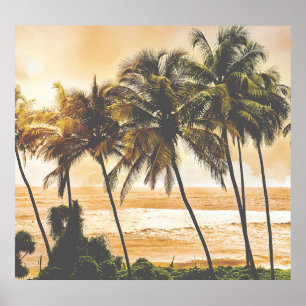 Póster Amanecer de palmeras: Goa Vintage