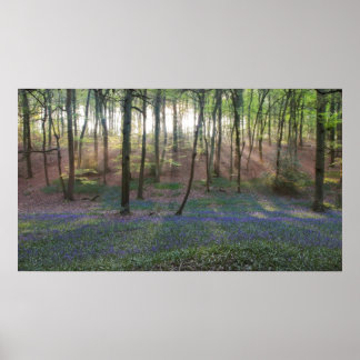 Póster Amanecer de primavera