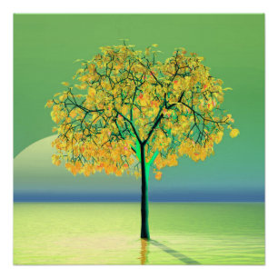 Póster Amanecer del árbol de otoño