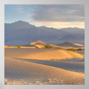 Póster Amanecer del desierto