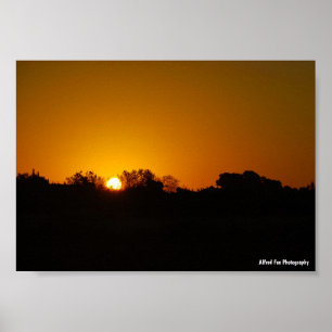 Póster Amanecer Dorado