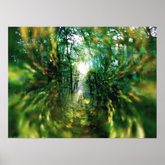 Póster Amanecer en el bosque 2