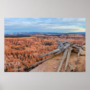 Póster Amanecer en el Cañón del Parque Nacional Bryce