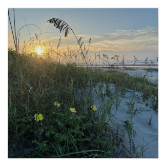 Póster Amanecer en la playa sobre dunas