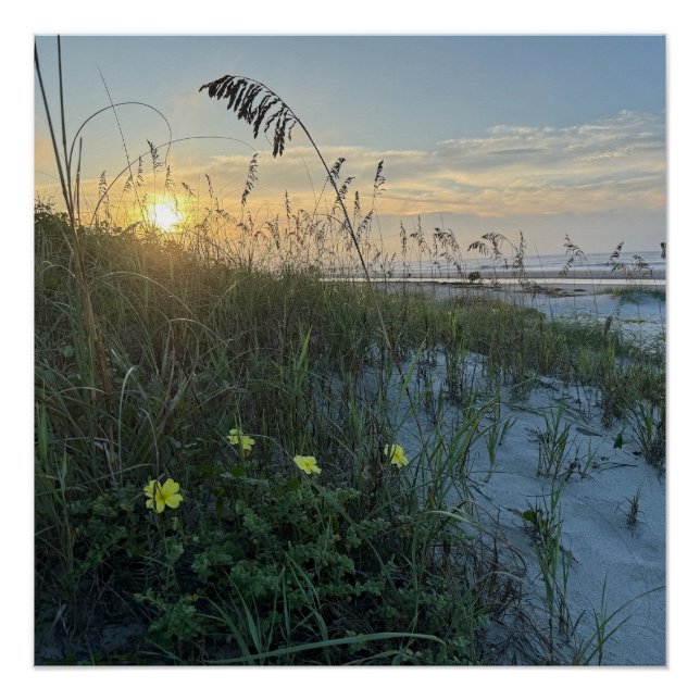 Póster Amanecer en la playa sobre dunas (Anverso)