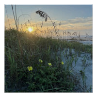 Amanecer en la playa sobre dunas