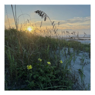 Póster Amanecer en la playa sobre dunas