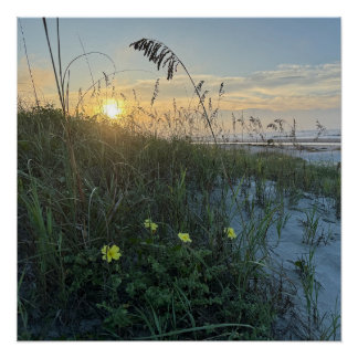 Póster Amanecer en la playa sobre dunas