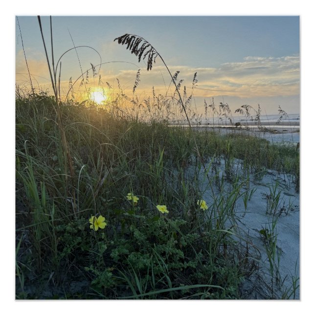 Póster Amanecer en la playa sobre dunas (Anverso)