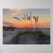 Amanecer en la playa - Vida en Isla Costera