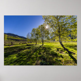 Póster Amanecer en un pasto lleno de ovejas