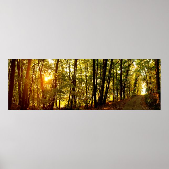 Póster Amanecer forestal (Frente)