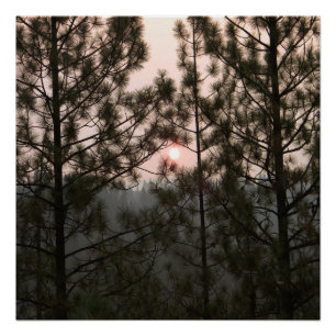 Póster Amanecer humeante del incendio de Carr 2018...