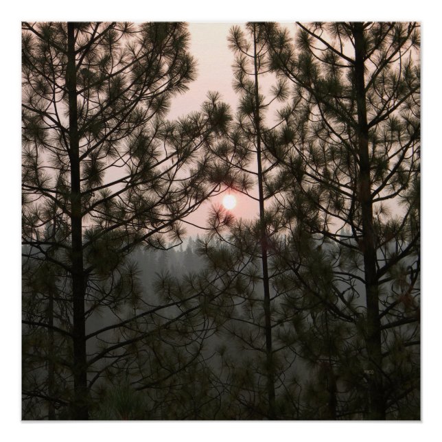 Póster Amanecer humeante del incendio de Carr 2018... (Anverso)