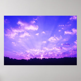 Póster Amanecer morado