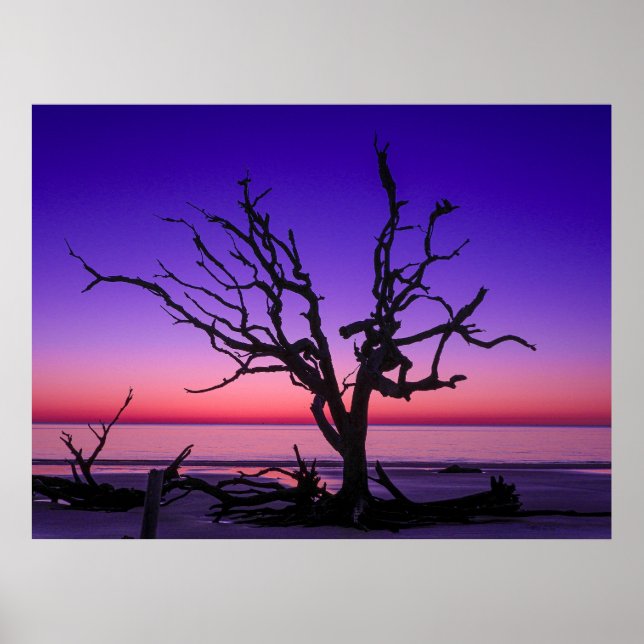 Póster Amanecer morado (Frente)