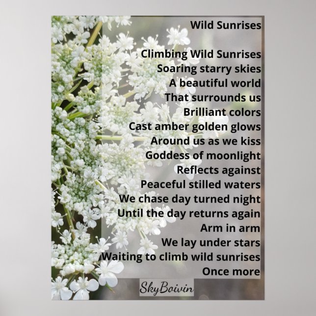 Póster Amanecer salvaje (Frente)