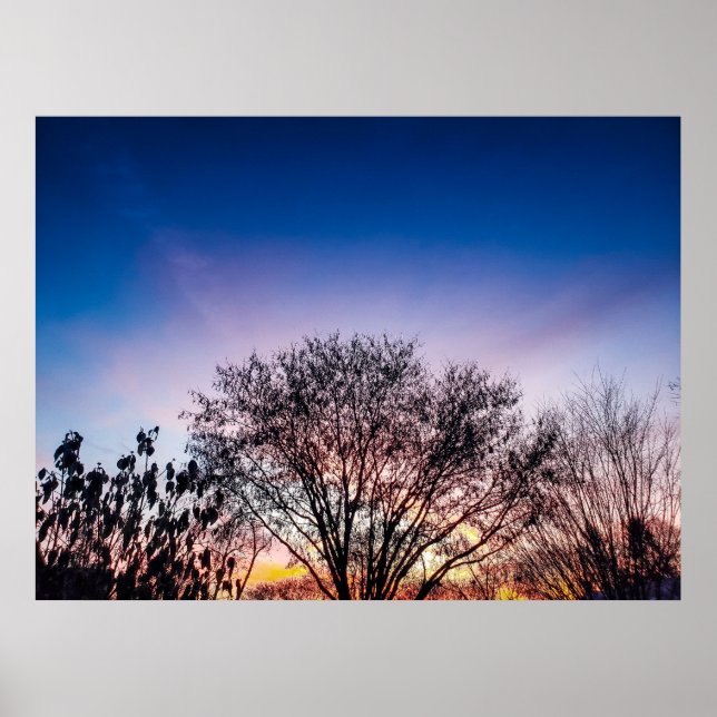 Póster Amanecer sobre los árboles (Frente)