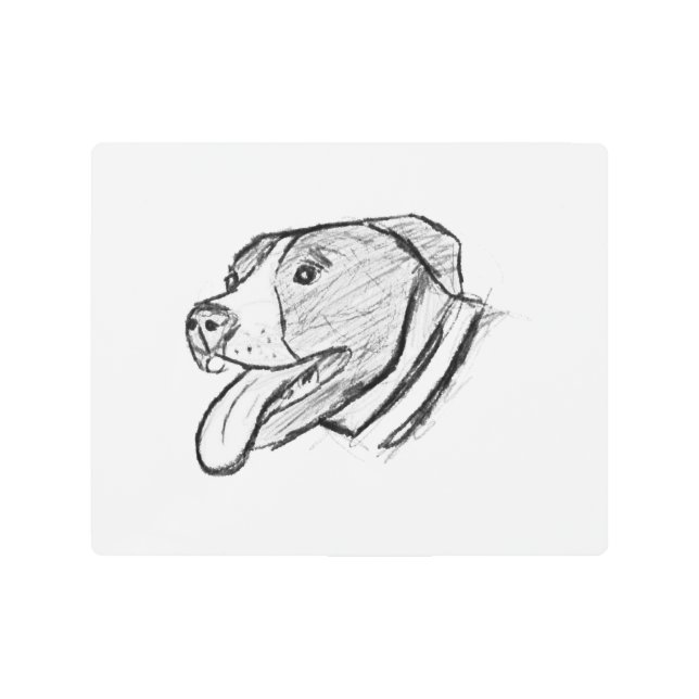 poster amante de los animales dibujado a mano con  (Anverso)