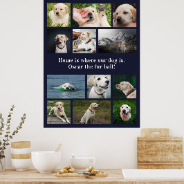 Póster Amante de los Perros 12 Fotos El Hogar Está Donde