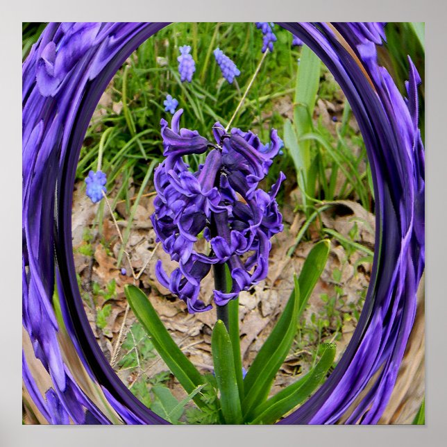 Póster Amante jardín de primavera...... (Frente)