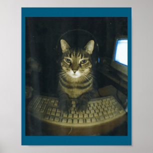Póster Amantes de gatos gamers serios divertidos gato sem