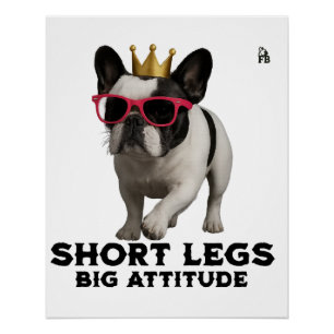 Póster Amantes de perros Bulldog Francés