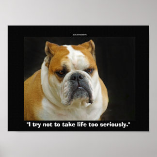 Póster Amantes divertidos de los Mascotas del Bulldog Pos