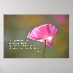 Póster Amapola de junio