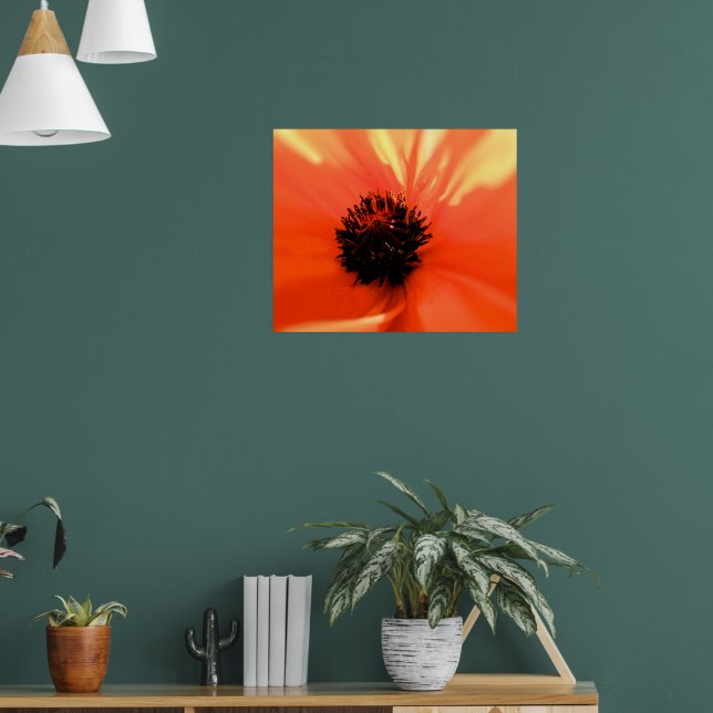 Póster Amapola naranja - Personalizado - Suave (Salón 1)