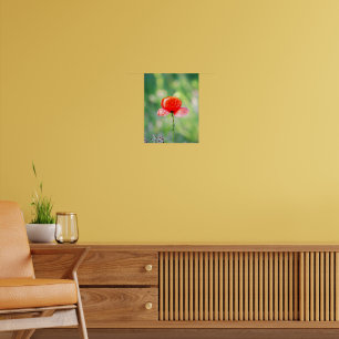 Póster Amapola Roja Radiante