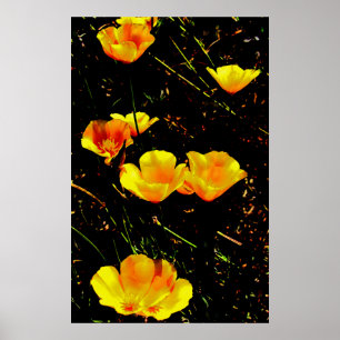 Póster Amapolas