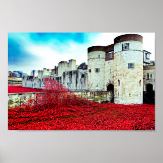 Póster Amapolas De La Torre De Londres Amapola Roja