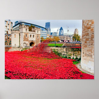Póster Amapolas De La Torre De Londres Amapola Roja