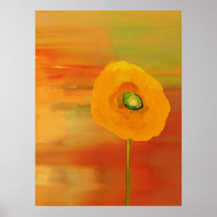 Póster Amapolas en la floración