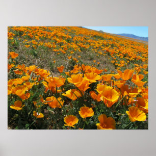 Póster Amapolas en perspectiva