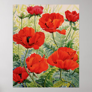 Póster Amapolas rojas grandes