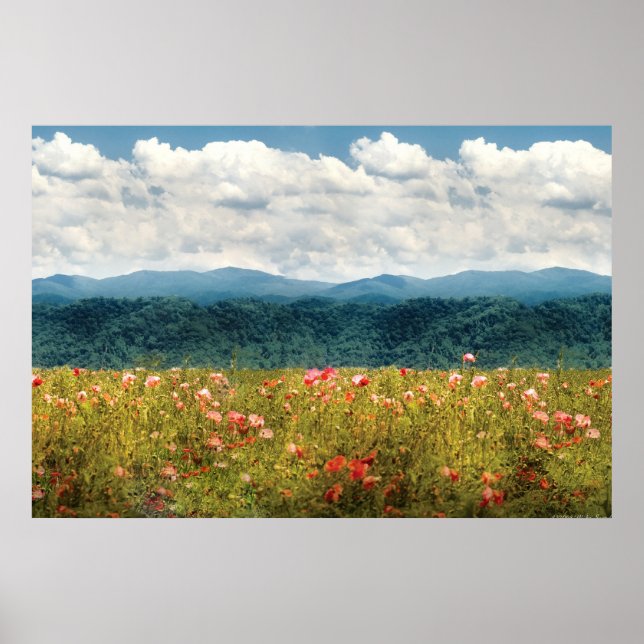 Póster Amapolas - Valle Fragante (Frente)