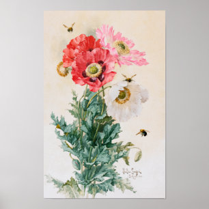 Póster Amapolas y Abejas por Paul de Longpré