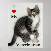 Amar a mi Poster veterano Zorro Kitty
