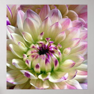 Póster Amar la propagación_Poster