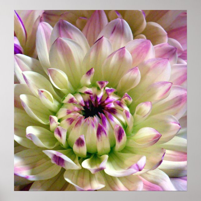 Póster Amar la propagación_Poster (Frente)