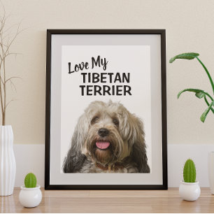 Póster Amar mi retrato de terror tibetano
