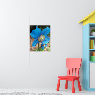 Póster Amarilla Azul del Himalaya Floral