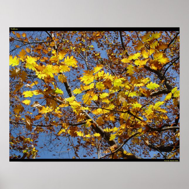 Póster Amarillo (Frente)