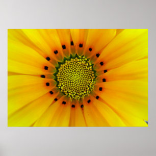 PÓSTER AMARILLO