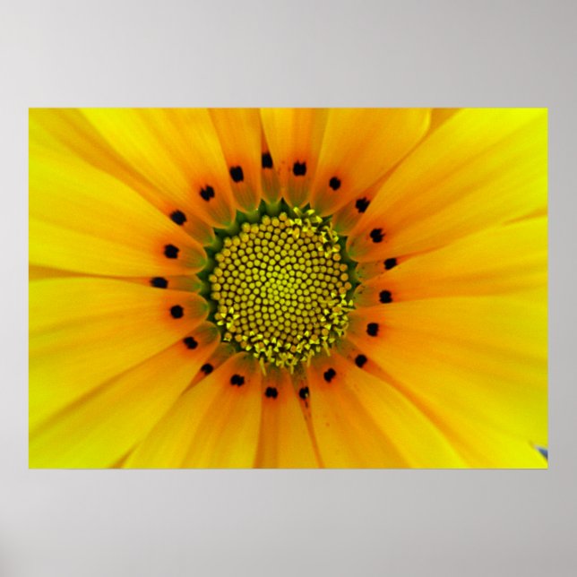 PÓSTER AMARILLO (Frente)