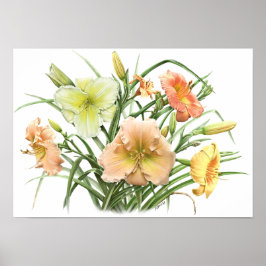 Póster Amarillo Daylilies Original Art Print